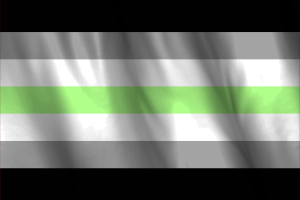 Drapeau national d'Agender flag