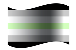 Drapeau agender flag