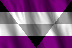 Bandera Nacional de Ageosexual flag