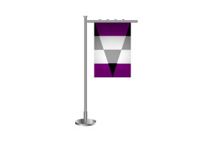 Bandera Ageosexual en 3D flag