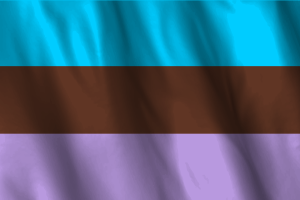 National Flag of Androsexual flag
