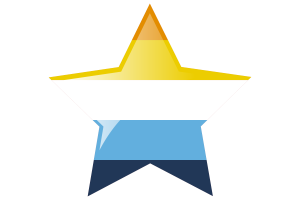 Aroace Flag Star Icon flag