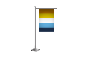 3d Aroace Standing Flag flag
