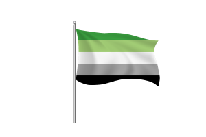 Simbolo della Bandiera Aromentic flag