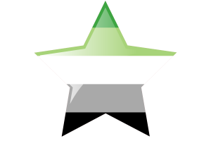 Icona Stella della Bandiera Aromentic flag