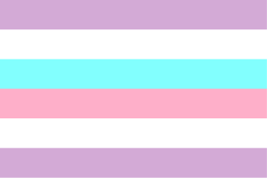 Flag of Bigender flag