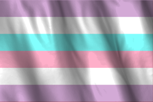 National Flag of Bigender flag