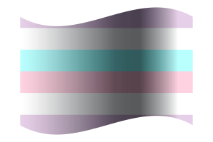 Bigender Flag flag
