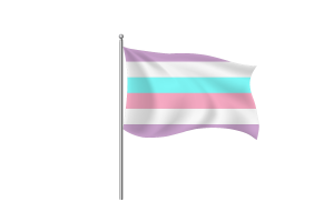 Bigender Flag symbol flag
