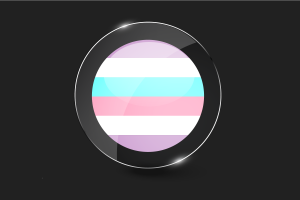 Bigender Flag Glossy Round Button flag