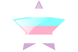 Bigender Flag Star Icon flag