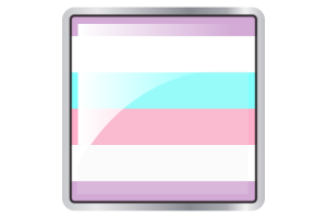 Bigender Flag Square icon flag