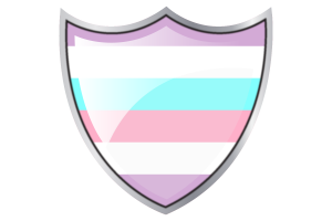 Shield with Flag of Bigender flag