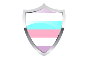 Bigender Flag with Medieval Heater Shield flag
