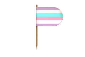 Bigender Flag for Desk, Table flag