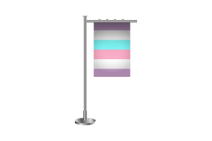 3d Bigender Standing Flag flag