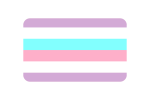 Bigender Flag rounded Rectangle Vector Illustration flag