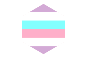 Bigender Flag Hexagon Shape flag