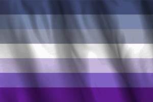 Bandera nacional de Butch flag