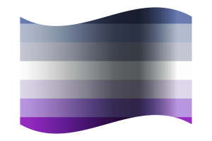 Bandera de Butch flag