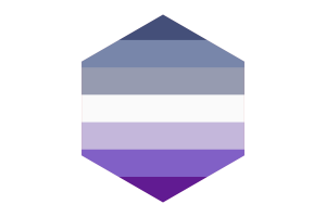 Bandera de Butch con forma de hexágono flag