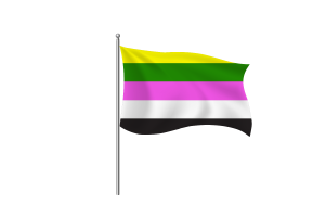 Simbolo della Bandiera Ceterosexual flag