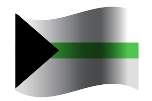 Demiromantic Flag flag