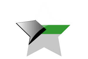 Demiromantic Flag Star Icon flag