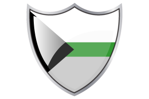 Shield with Flag of Demiromantic flag