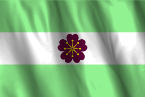 National Flag of Diamoric flag