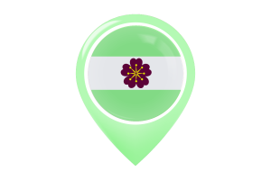 Diamoric Flag Map Pin Icon flag