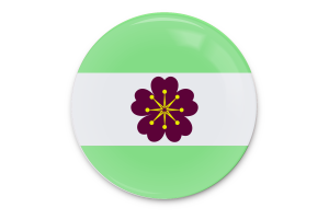 Diamoric Flag Vector Art flag