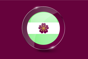 Diamoric Flag Glossy Round Button flag