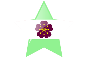 Diamoric Flag Star Icon flag