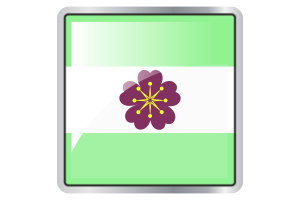 Diamoric Flag Square icon flag