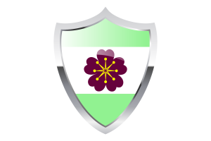 Diamoric Flag with Medieval Heater Shield flag