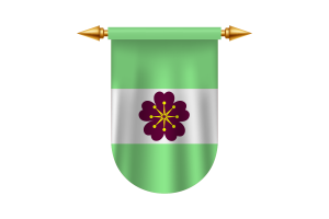 Diamoric Flag Emblem Vector Images flag