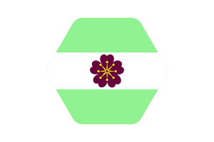 Diamoric Flag Vector Illustration flag