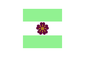 Diamoric Flag Clipart flag