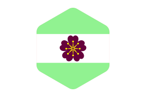 Diamoric Flag Rounded Hexagon Shape flag