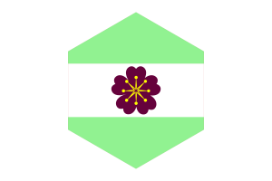 Diamoric Flag Hexagon Shape flag