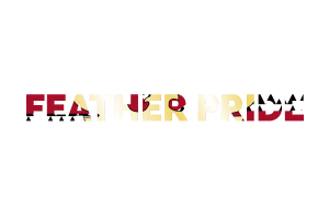 Feather Pride Text Art flag