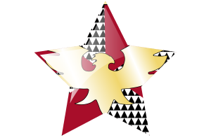 Feather Pride Flag Star Icon flag