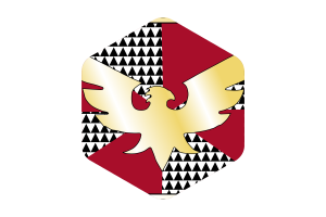 Feather Pride Flag Rounded Hexagon Shape flag