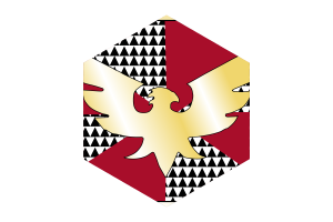 Feather Pride Flag Hexagon Shape flag