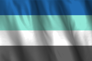 National Flag of Freysexual flag