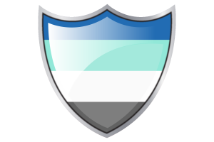 Shield with Flag of Freysexual flag