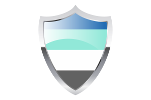 Freysexual Flag with Medieval Heater Shield flag