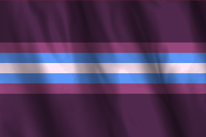 National Flag of Gender-Nonconforming flag