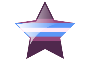 Gender-Nonconforming Flag Star Icon flag
